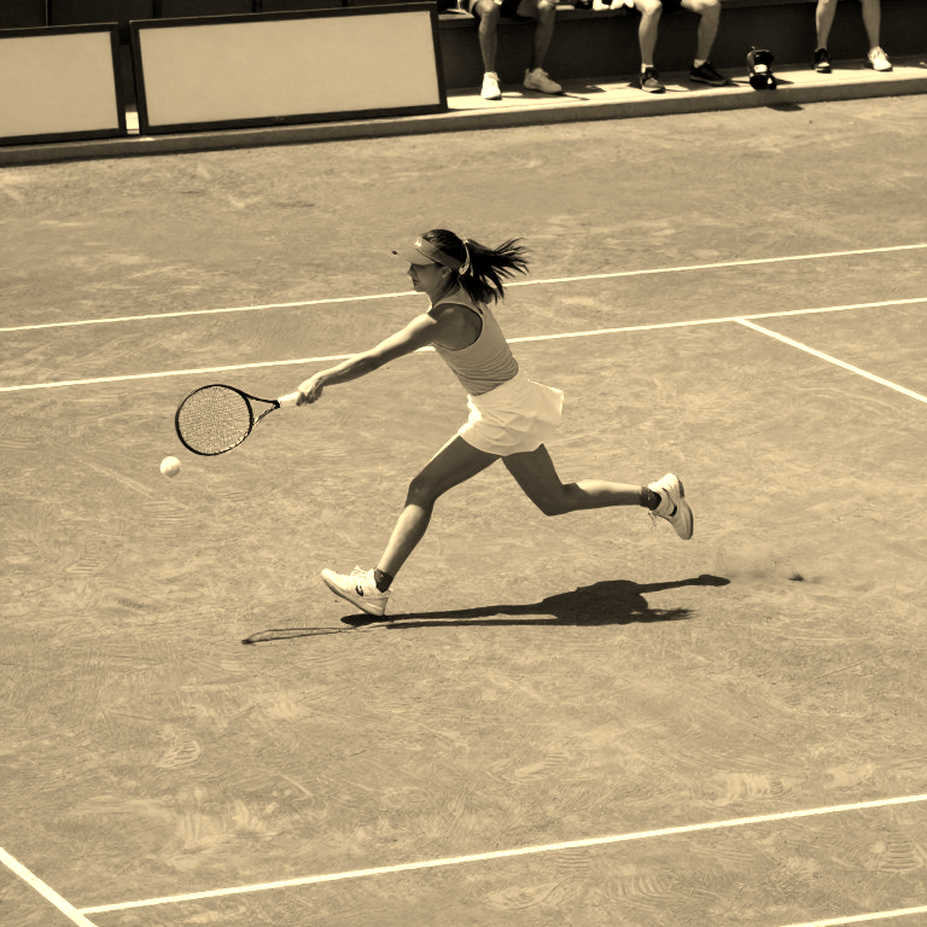 निंगबो WTA 500 फाइनल: रायबाकिना के पास जीतने से कुछ नहीं मिलता, हारने पर 175 अंक जाते हैं